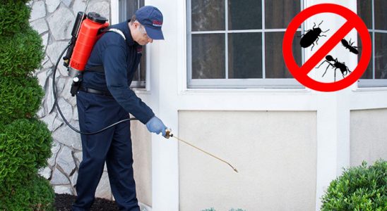 Kofçaz Böcek İlaçlama böcek ilaçlama ve haşere kontrolü — ilaclama-tr.com